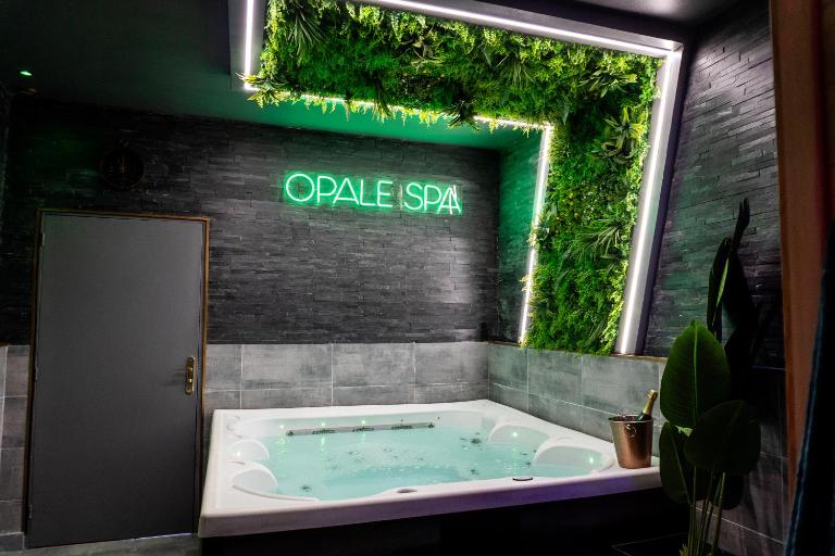Opale Spa - Jacuzzi et sauna privatifs - Bed and Breakfast Mons-en-Barœul