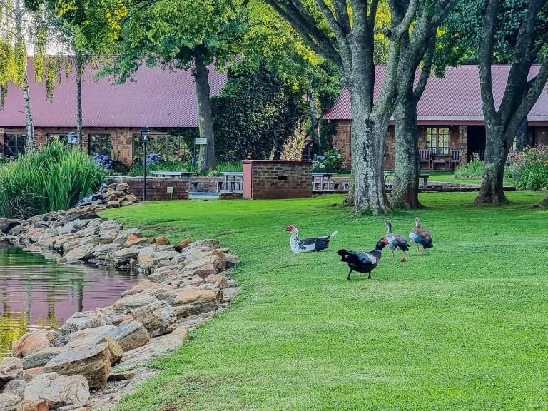 Critchley Hackle Lodge - Ferienwohnung Dullstroom