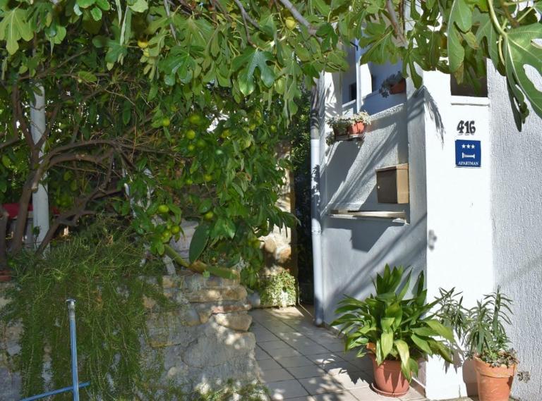 Apartments Jug - B&B Lopar