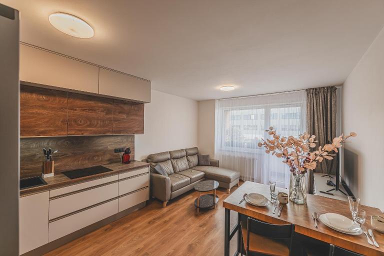 Luxusní Apartmán U Petrofa s vlastním parkovacím místem - B&B Hradec Králové