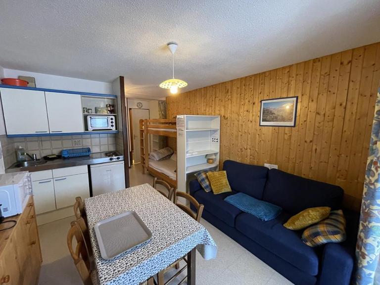 Confortable T2 avec balcon au cœur de la station, proche pistes et commerces - FR-1-787-80 - Ferienwohnung Laveissière