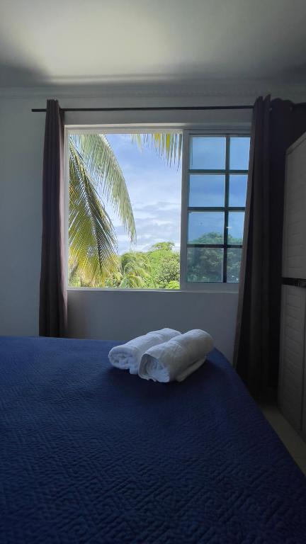 Sea Life Apartamentos en vía principal Centro y San luis - B&B San Andrés