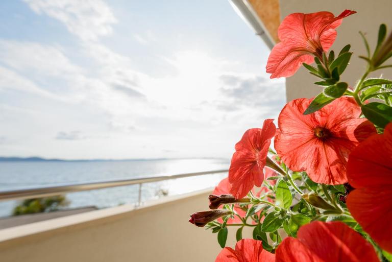 Spacious apartment near the Sea - B&B Zadar