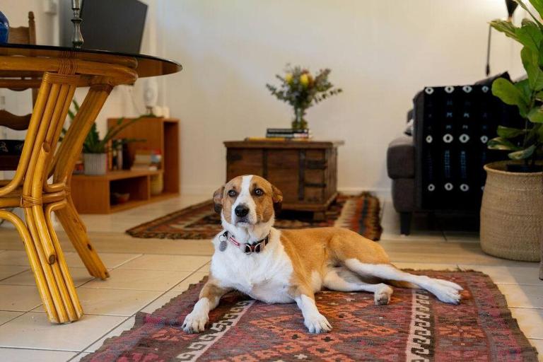 The Lamu Suite - B&B Brisbane