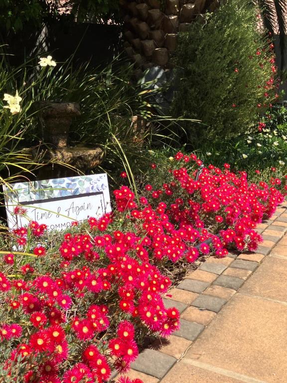 Time & Again - Bed and Breakfast Ceres