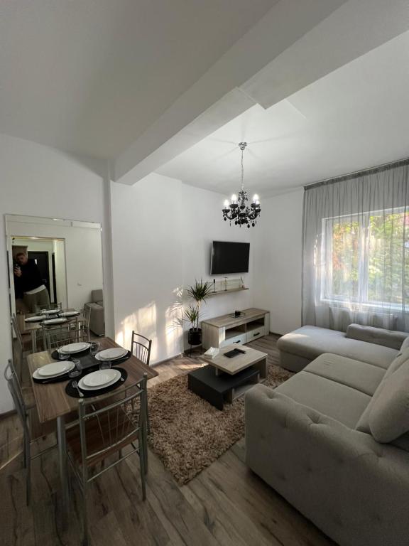 Central Cozy Apartament - B&B Craiova