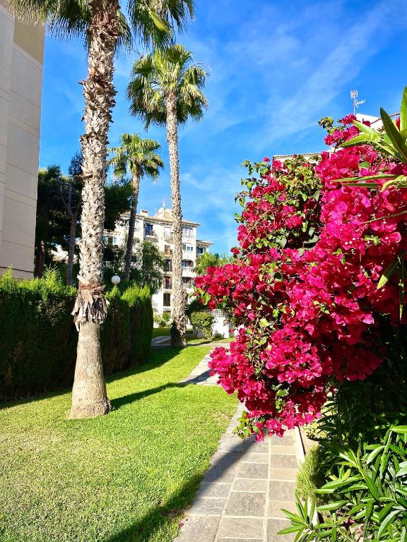 Calas Blancas - Chambres d'hôtes Torrevieja