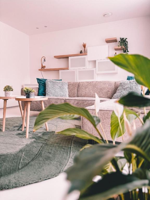 Luxe d’O - B&B Ostend