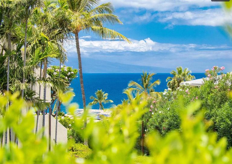 Limited Summer Deals! Ocean View at Maui Kamaole - Ferienwohnung Wailea