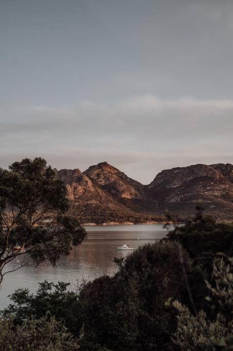 Sentinel at Freycinet - Bed and Breakfast Coles Bay