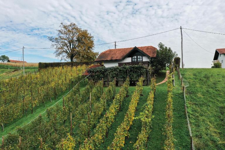 Hiška Brajda - Chambres d'hôtes Rogaska Slatina