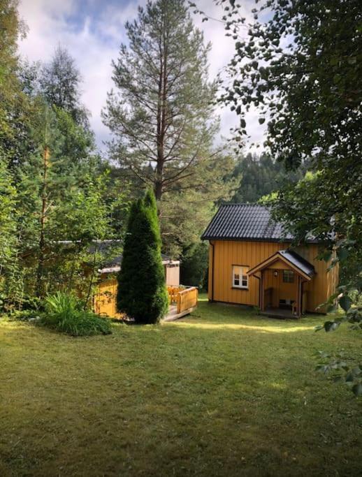 Rindalsskogen cabin - Bed and Breakfast Løfald
