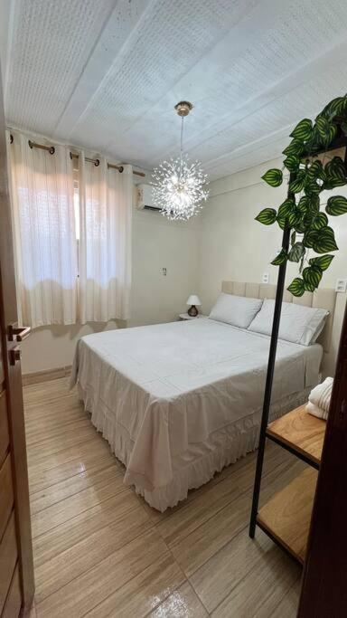 Nossa House em Alter - Bed and Breakfast Alter do Chão