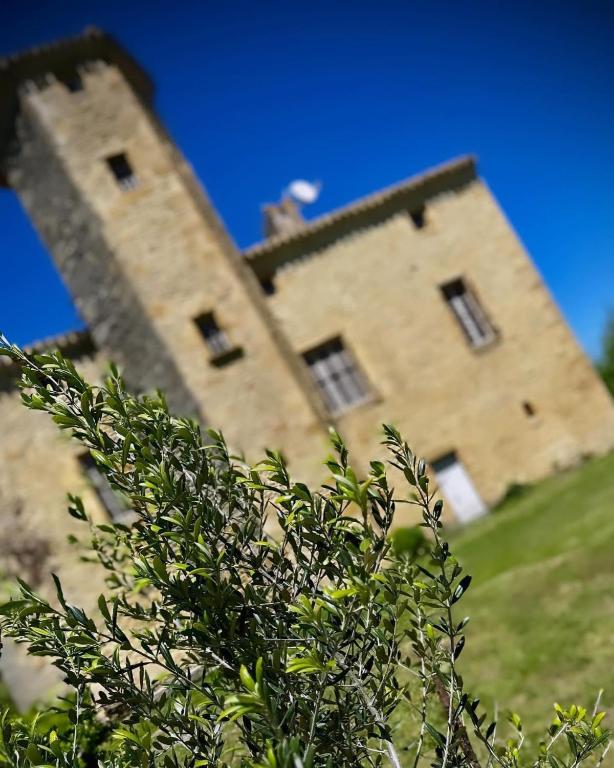 Le Domaine de Pépé - B&B Saint-Julien-de-Briola