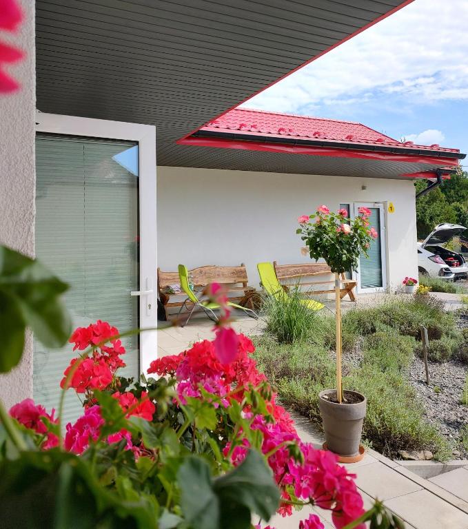 Apartamenty Pod Gruszą - B&B Kudowa-Zdrój