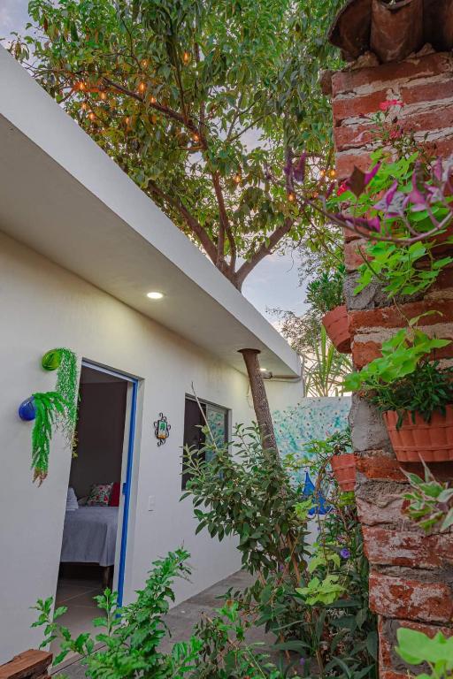 Hostal Casa Morada - B&B Cocula