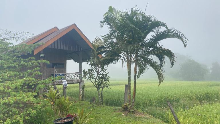 Poopha home stay - B&B Pai