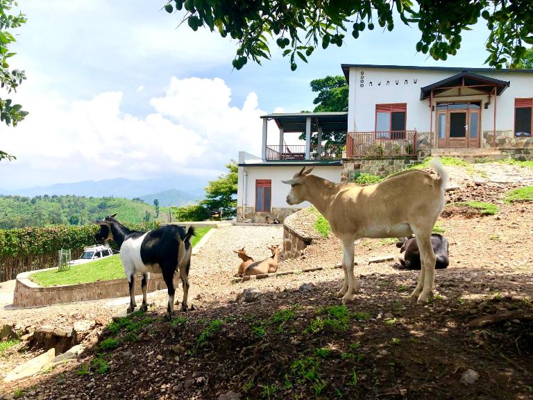 Amazi Land Home and Farm Stay - B&B Kibuye