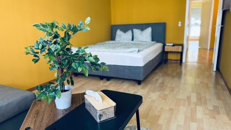 Ferdinands Gateaway inkl Breakfast - B&B Bern