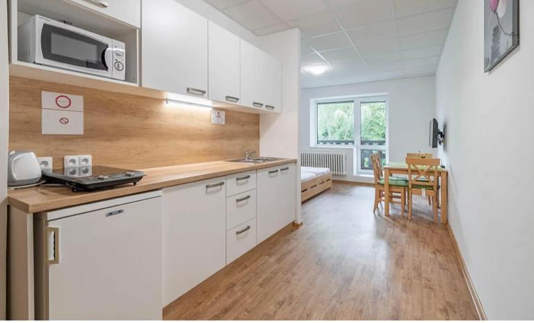 Byt v Železné Rudě u sjezdovky s vlastním parkováním - Chambres d'hôtes Železná Ruda