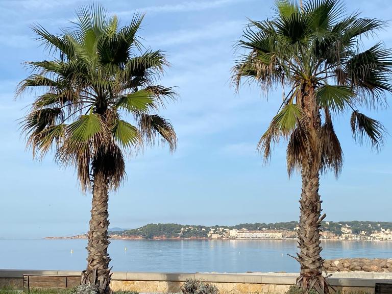 Studio Solviou - Chambres d'hôtes Six-Fours-les-Plages