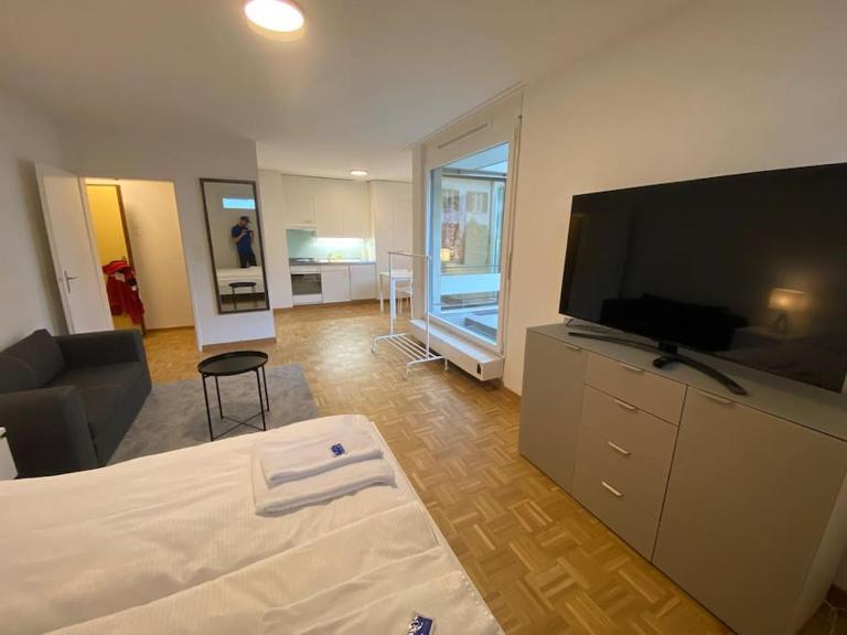 Practical studio in the city center - Art 7 - Ferienwohnung Zürich