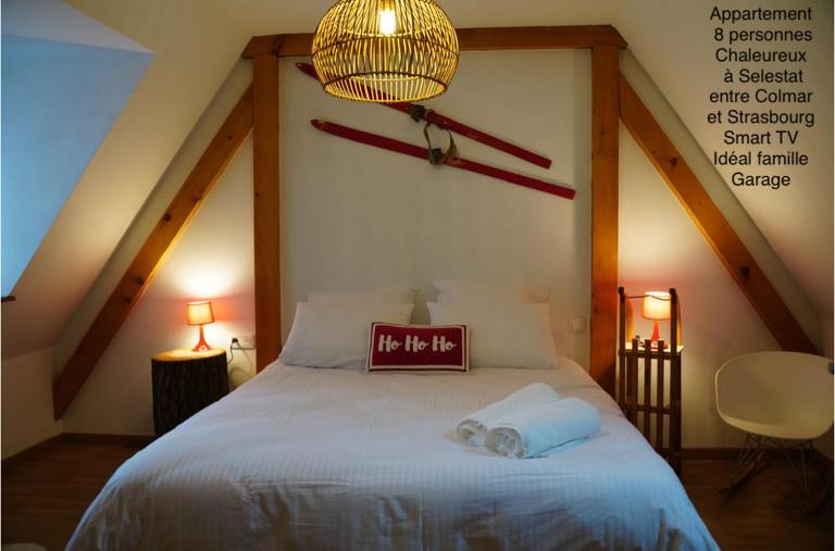 Tout Schuss en duplex 8 pers avec Garage - B&B Sélestat