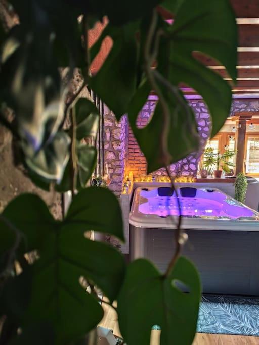 Le Petit Paradis - Bed and Breakfast Bouafles
