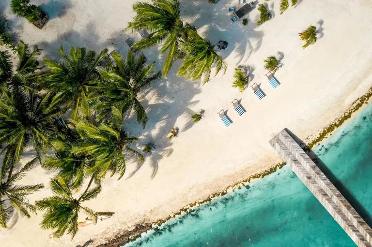 Private Oceanfront Estate & Concierge - B&B San Pedro