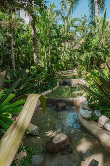 Brand new PH Relaxing is a must - B&B Cruz de Huanacaxtle