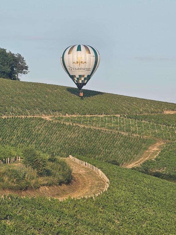 Le Saint Vincent - Bed and Breakfast Chablis