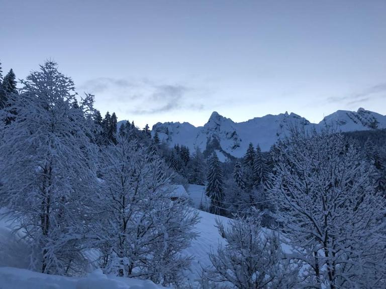 Le Nid du Farzy, au cœur des Aravis - Chambres d'hôtes Le Grand-Bornand