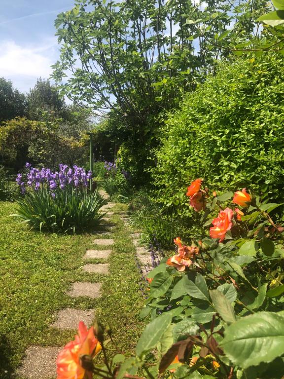 La Causeuse - Ferienwohnung Thonon-les-Bains