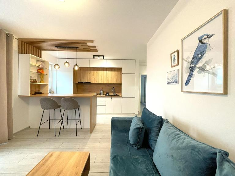 Blue Jay's Nest — AC & Stylish Terrace - B&B Braşov