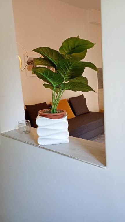 Ponte Milvio Loft - B&B Roma