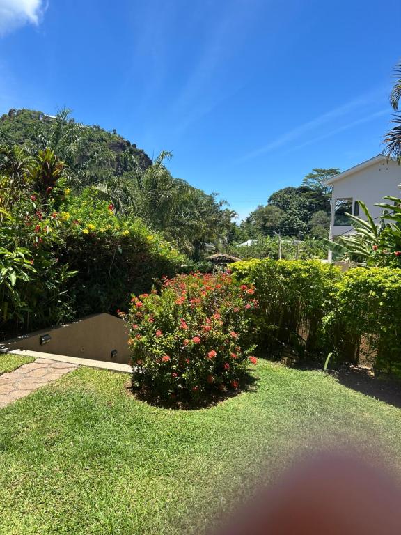 Eden Hills Residence - Bed and Breakfast Anse Boileau