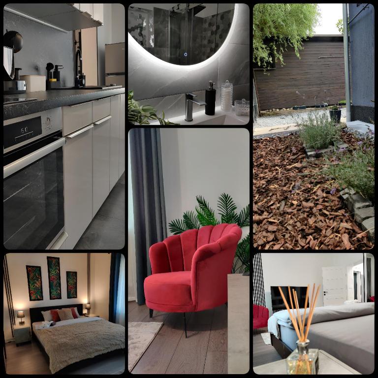 Căsuță cu parcare și grădină - The Cozy Chic Retreat - B&B Cluj-Napoca