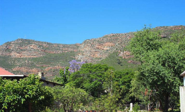 Dorpsplasie - Piketberg - B&B Piketberg