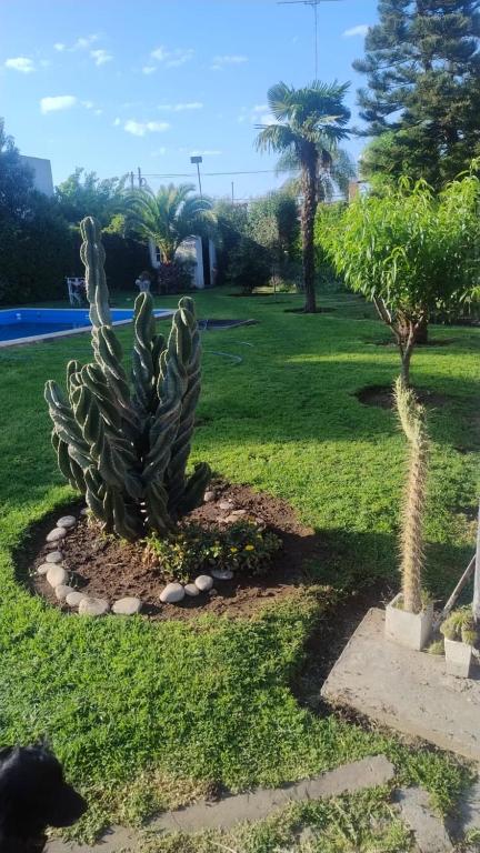 Las Camelias - B&B Luján