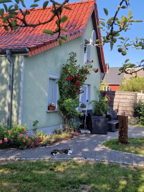 Marin - B&B Barth