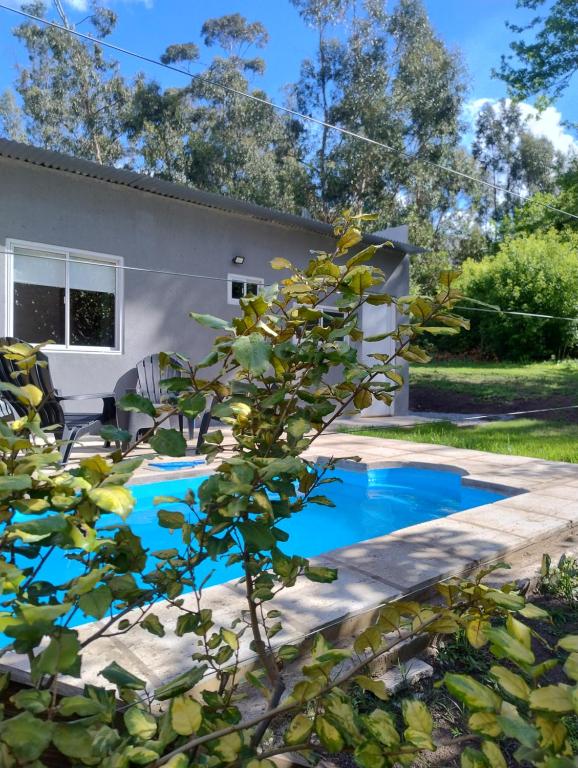 Los Eucaliptos - B&B Tandil