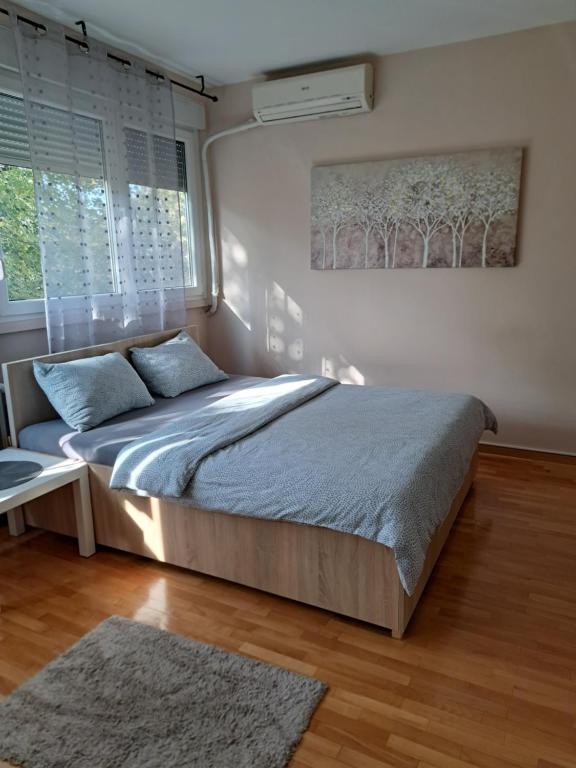 Vist 3 apartment - Chambres d'hôtes Belgrade
