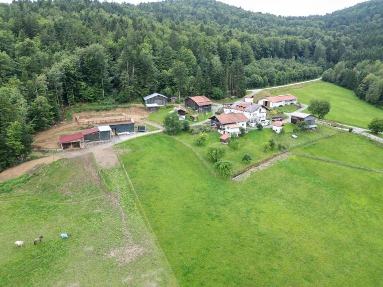 Ranzinger Hof - Ferienwohnung Waldkirchen