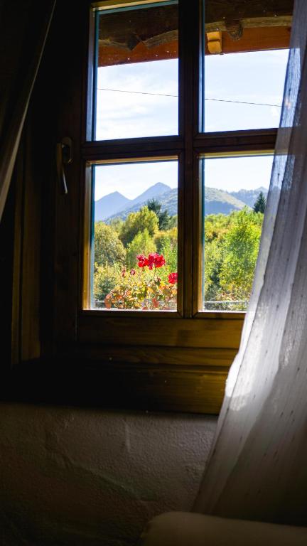 La poale de munte - B&B Viștișoara