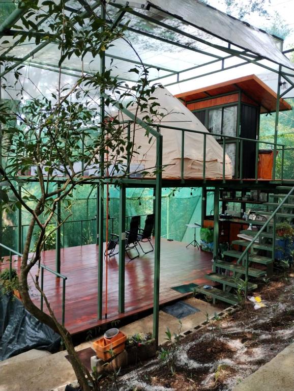 Glamping Butterflay Garden - B&B Concepción