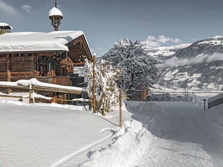 Alpen-Chalet-Pankraz - Ferienwohnung Fügenberg