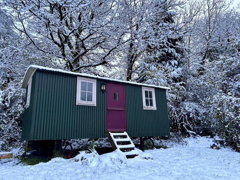 Cozy Cabin Retreat near Chepstow - B&B Chepstow