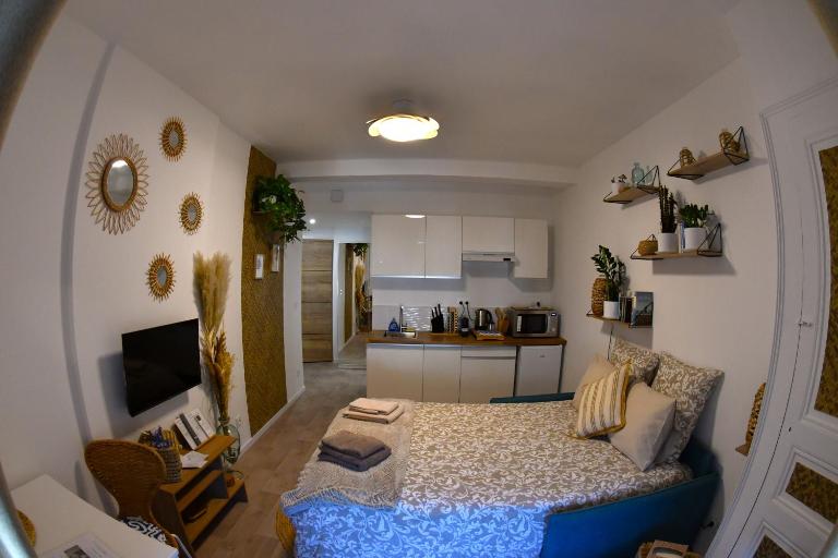 Studio Elégance Naturelle proche gare - Bed and Breakfast Voiron