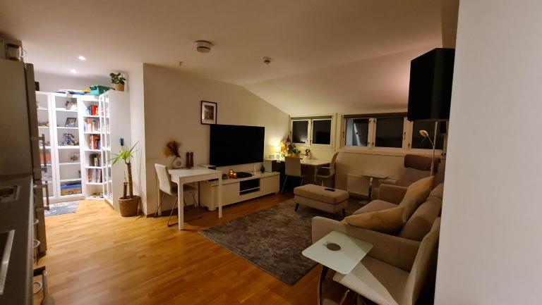 central, new, 2 bed rooms, fully furnished - Chambres d'hôtes Oslo