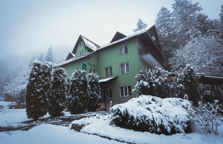 Pensiunea Limpedea - B&B Baia Sprie